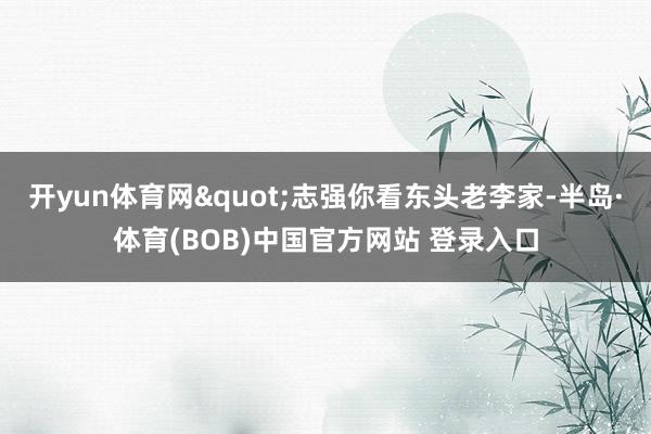 开yun体育网"志强你看东头老李家-半岛·体育(BOB)中国官方网站 登录入口