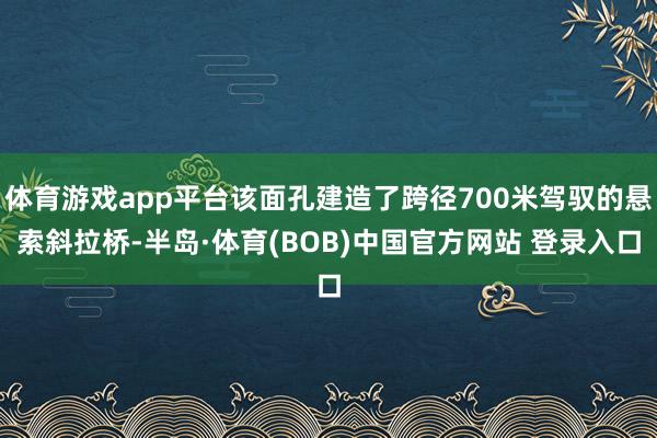 体育游戏app平台该面孔建造了跨径700米驾驭的悬索斜拉桥-半岛·体育(BOB)中国官方网站 登录入口